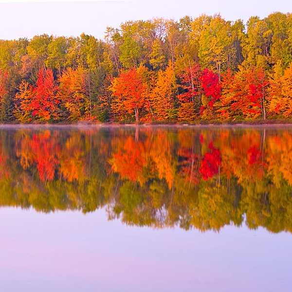 Fall Things to do in Michigan