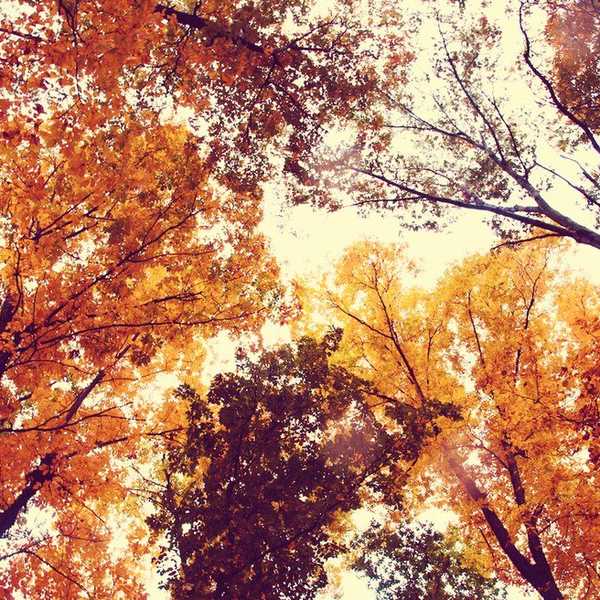 14 Reasons Why We've All Fallen For Fall