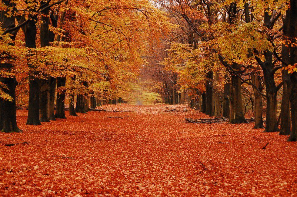 10 Reasons You Love Fall