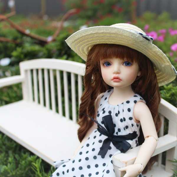 A Doll's Companion
