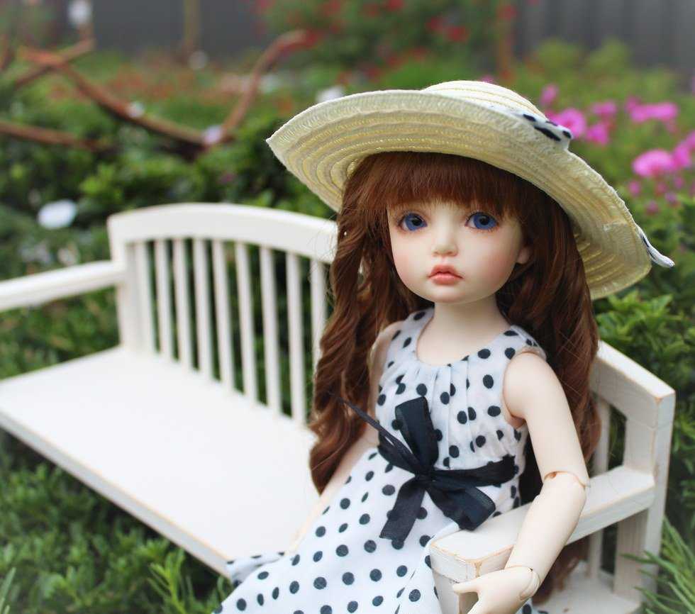 A Doll's Companion