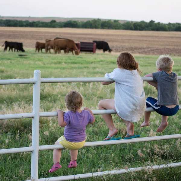 Why I Want To Return To The Family Farm