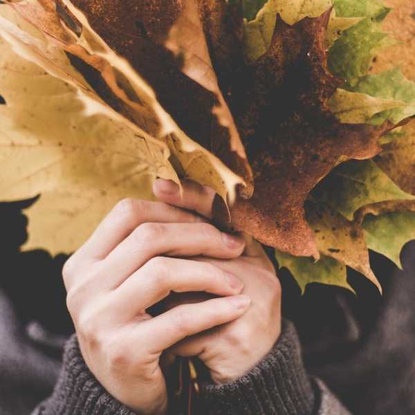 6 Reasons Why Fall is the Best Season
