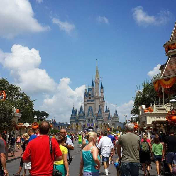 The Most Magical Moment Ever: I Accepted An Offer From The Disney College Program!