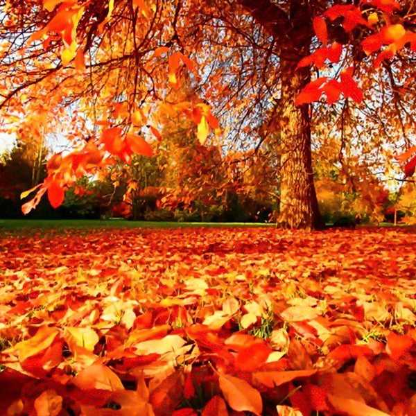 The 10 Best Things About Autumn
