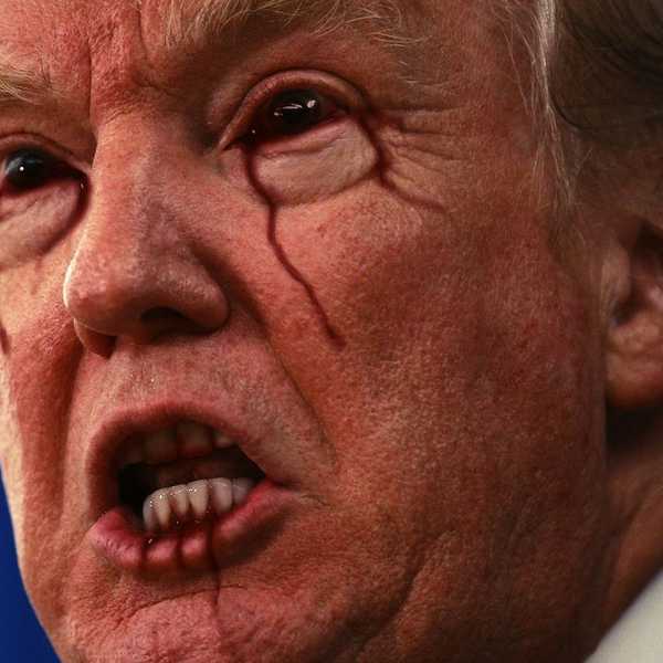 How to Survive the Rest of 2016