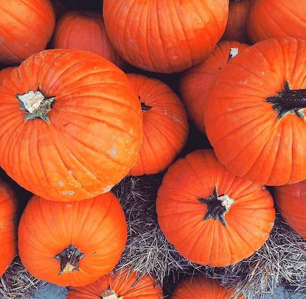 Fall Activities That Won't Break The Bank