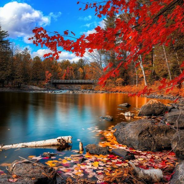 10 Reasons To Be Excited For Fall