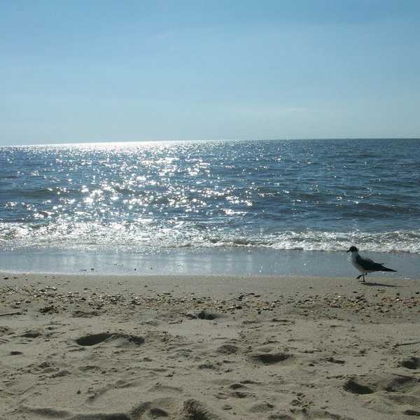 6 Reasons You Should Visit New Jersey