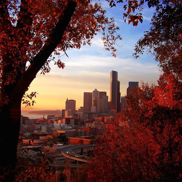 10.5 Things To Do In Seattle This Fall