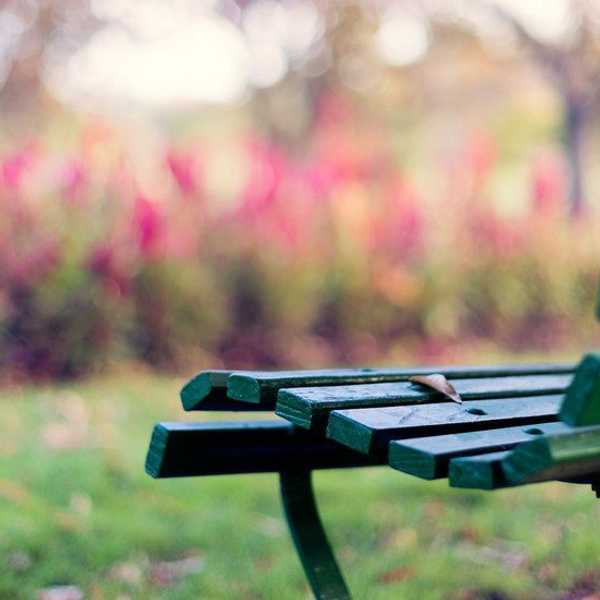 An Open Letter to Those Waiting for The One