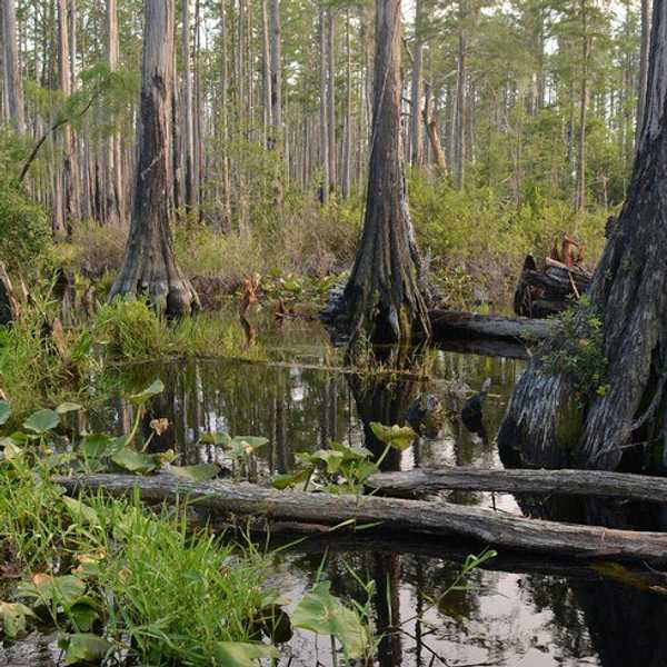 11 Things Only People In The South Understand