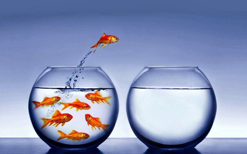 Come Out Of Your Shell