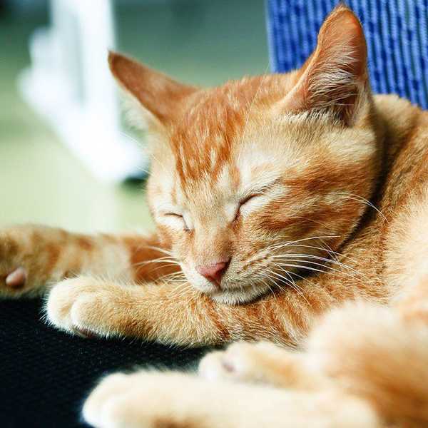 8 Things Perpetually Sleepy People Are Tired of Hearing