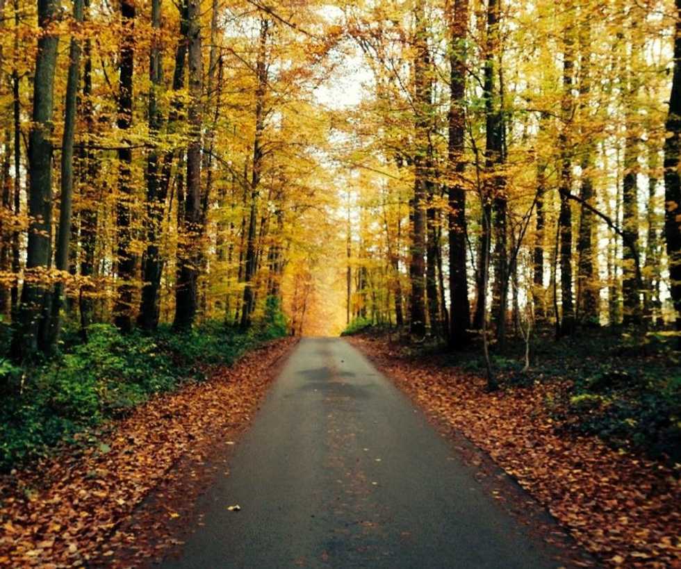 Happy Fall, Y'all