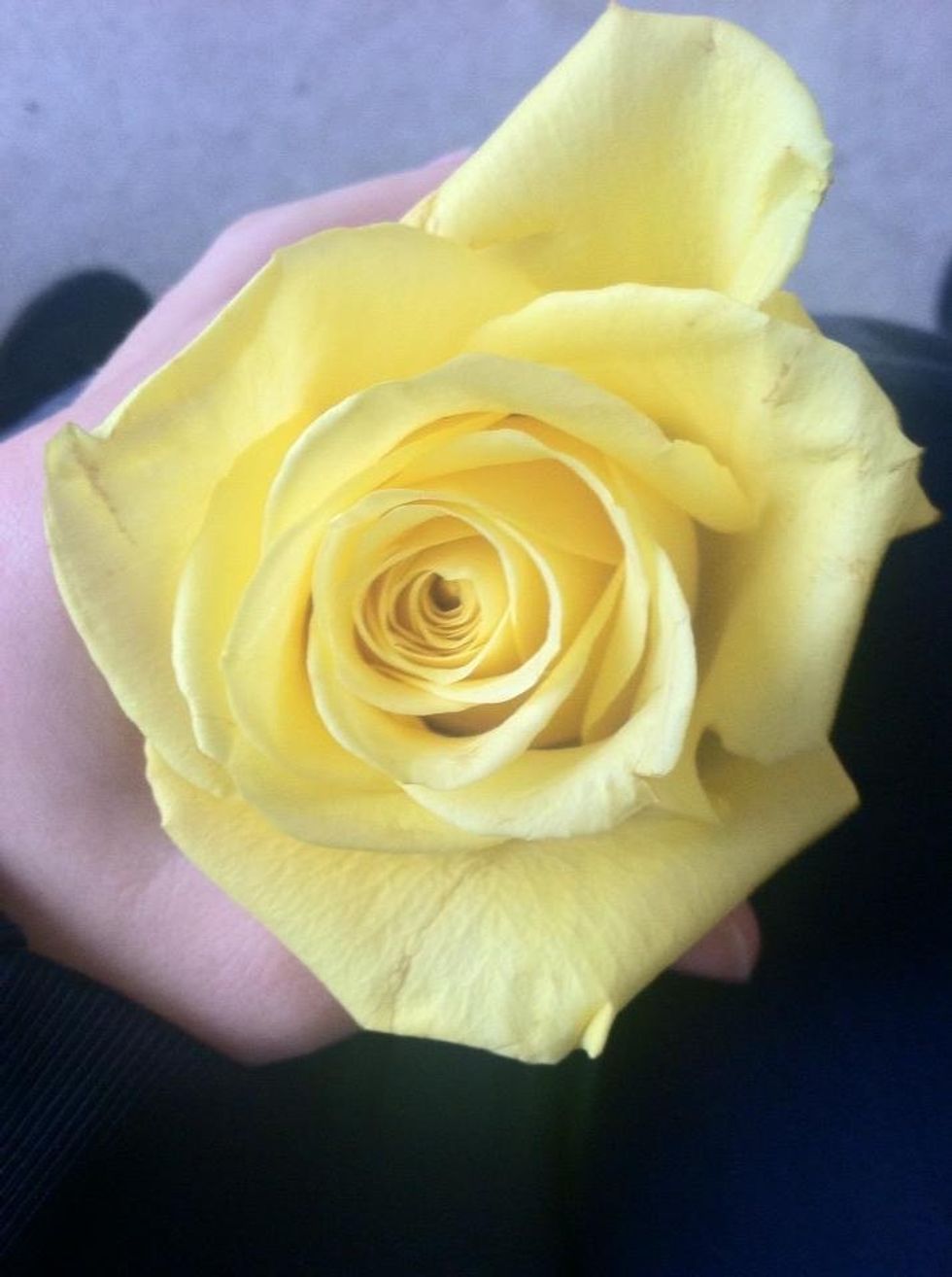 To The Friend I Lost Unexpectedly