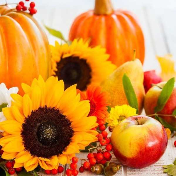 6 Reasons Why Fall Is The Best Season Of Them All