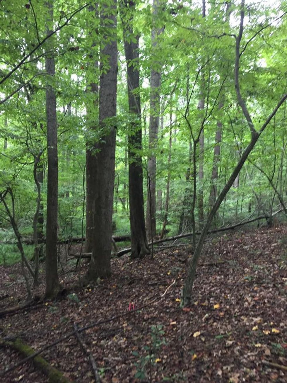 10 Things Science Majors Understand