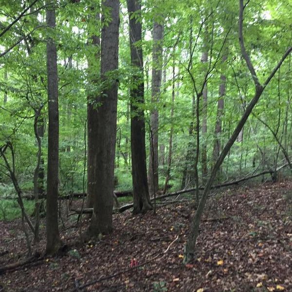 10 Things Science Majors Understand