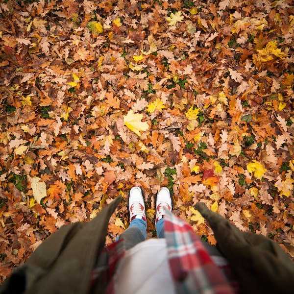 The 8 Best Things To Look Forward To This Fall