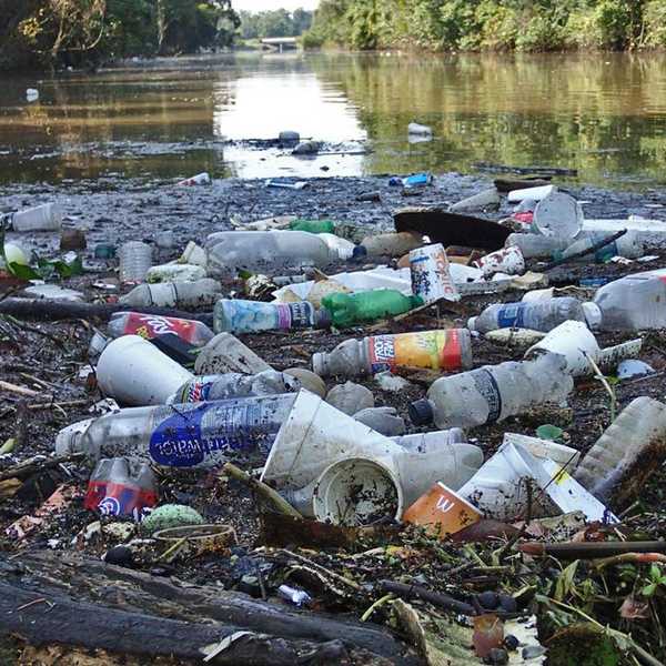 4 Pet Peeves That Every Environmentalist Has