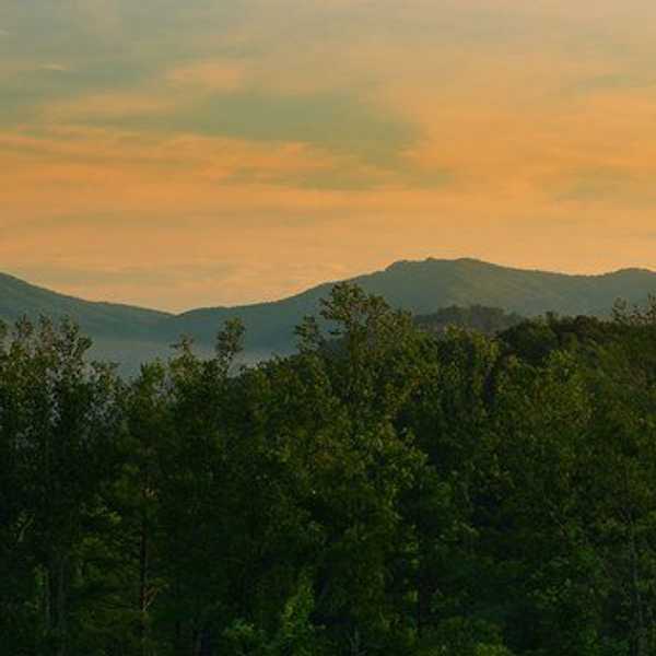 Letter To The Person Who Tried To Make Me Hate Myself