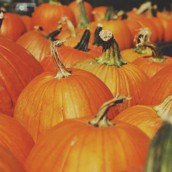 10 Ways To Bring Fall Down South