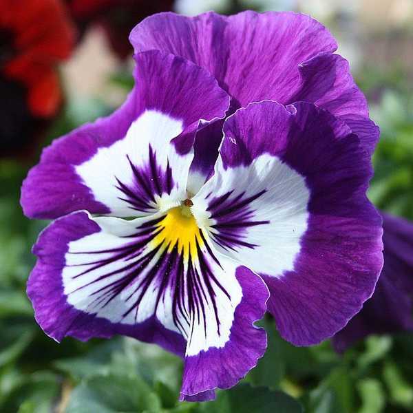 8 Tips For College Students With Anxiety