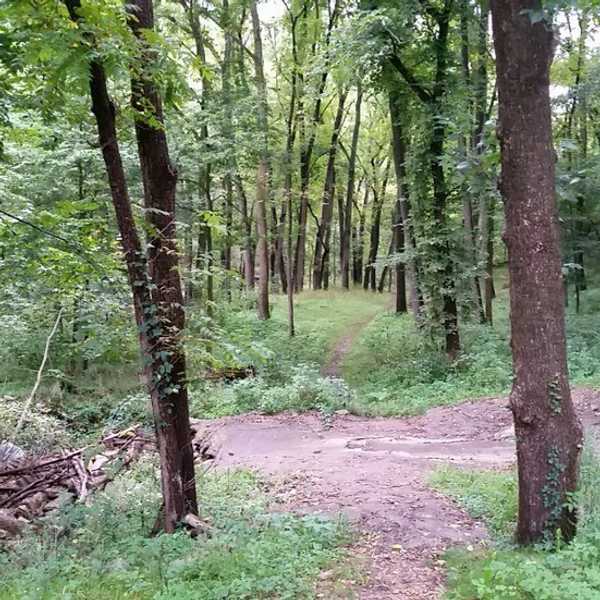 6 Ways To Improve Your Study Habits