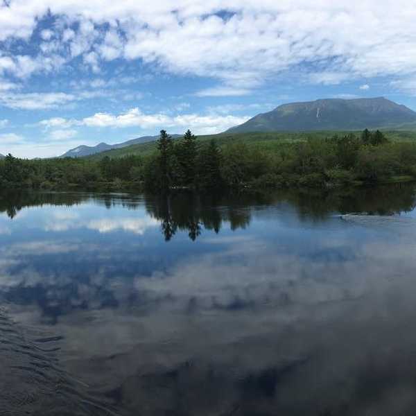 Ending the Epidemic of Littering