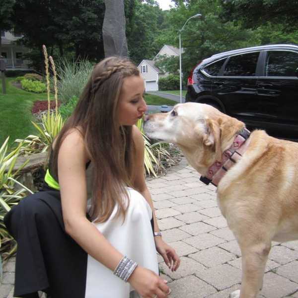 Can You Really Replace A Pet?