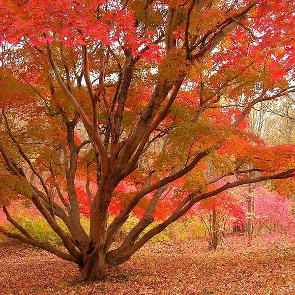 Why Fall Is The Best Season