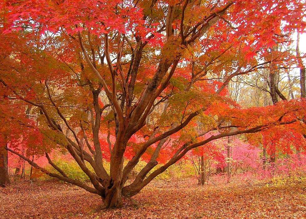 Why Fall Is The Best Season
