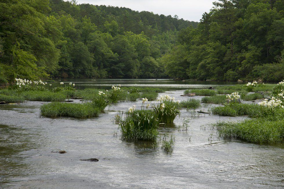 Pipeline Leak Prompts State Of Emergency