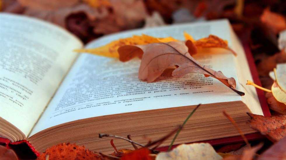 9 Of The Best Books To Read During The Fall