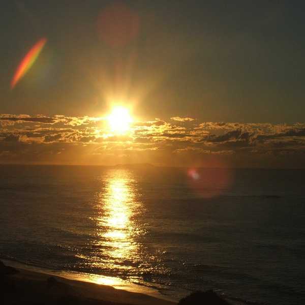 A Daily Dose Of Peace