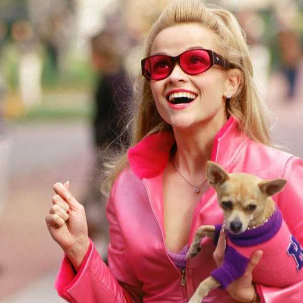 9 Things You Should Do After A Breakup According To Elle Woods