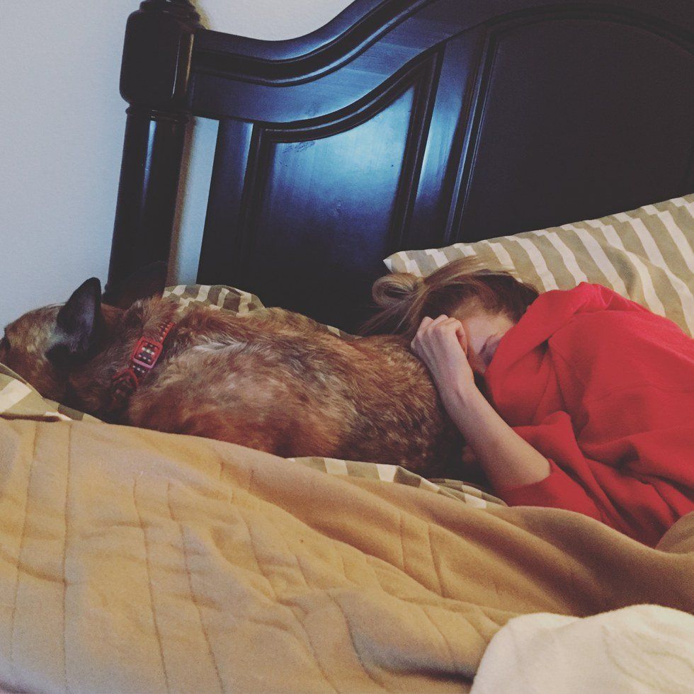 How You Know Your Dog has Taken Over Your Life