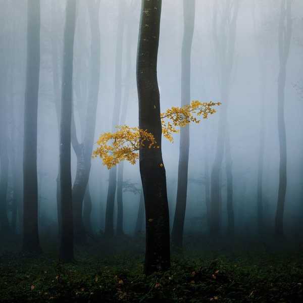 Reflection On The Severity And Finality Of Mortality