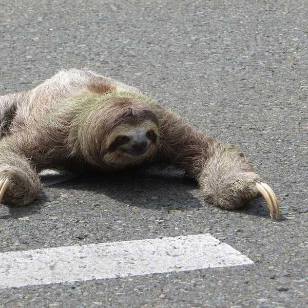 Slow And Steady: Taking Your Time In A Fast-Paced World