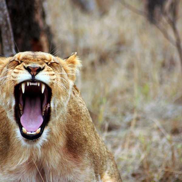 How You Can Fight Giving In To Anger