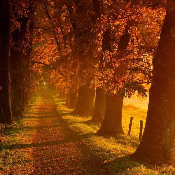 8 Reasons We Love The Fall