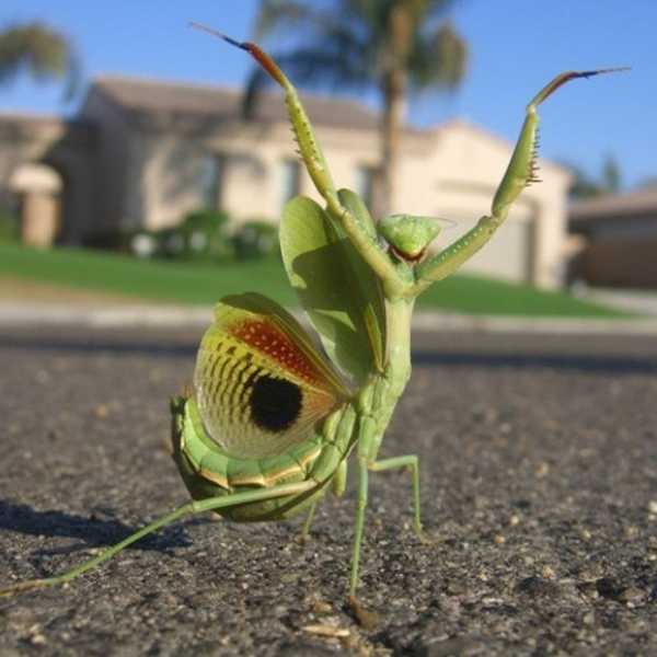 An Open Letter To Those Who Pray