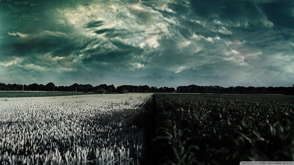 Reminders When You're Feeling Alone