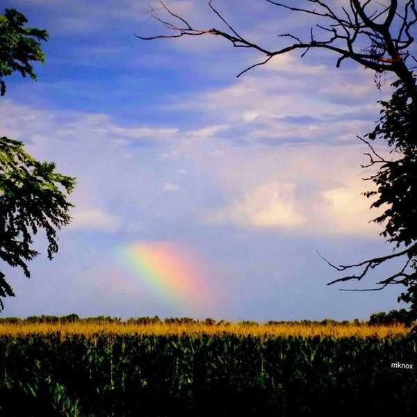 To Whomever It May Concern, This is For You