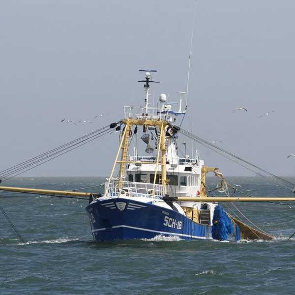 How To Prevent "Seamageddon"