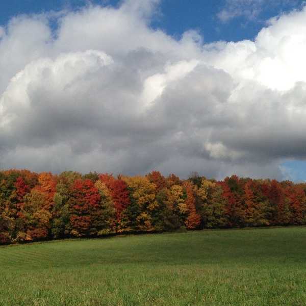 The Beautiful and the Fleeting