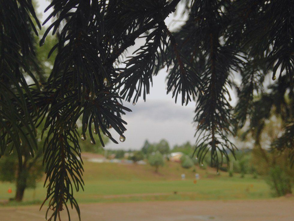 Support Lessons From A Rope Swing