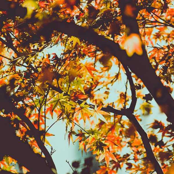 Thing To Do In The Fall/Winter