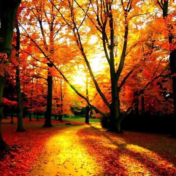 11 Activitites To Kick Start Your Fall
